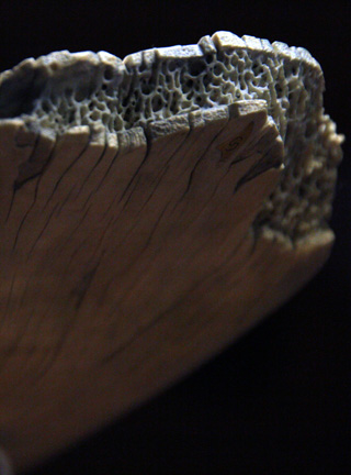 Snake, Schlange, Toad, Kröte, Cornel, Schneider, Boxwood, Buchsbaum, jpeg, jpg, scuplture, Schnitzerei, Carving, okimono