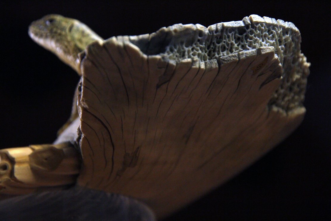 toad on lotusleaf, Kröte, Cornel, Schneider, Boxwood, Buchsbaum, Acrylglas, Ivory, jpeg, jpg, scuplture, Schnitzerei, Carving, okimono