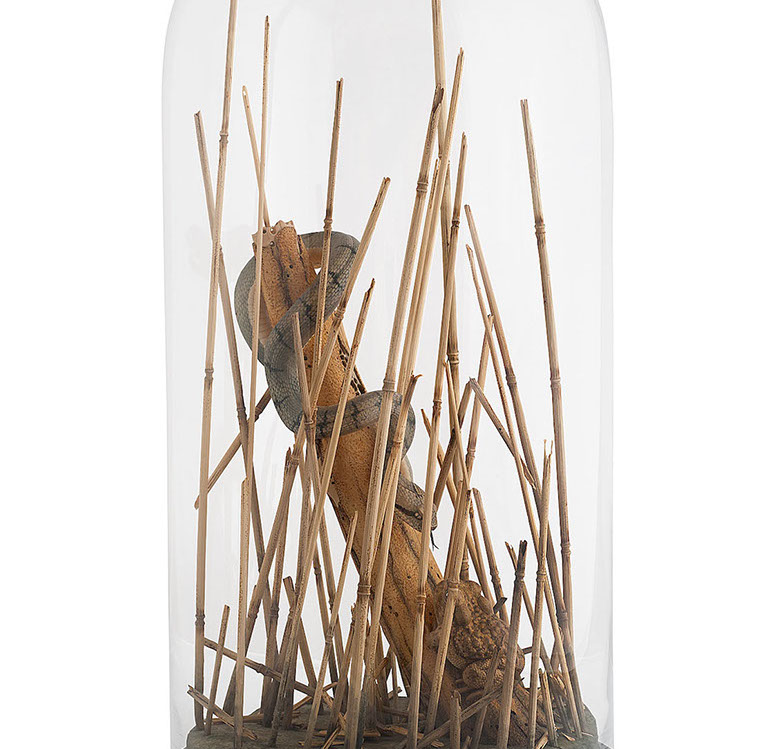 Snake, Schlange, Toad, Kröte, Cornel, Schneider, Boxwood, Buchsbaum, jpeg, jpg, scuplture, Schnitzerei, Carving, okimono