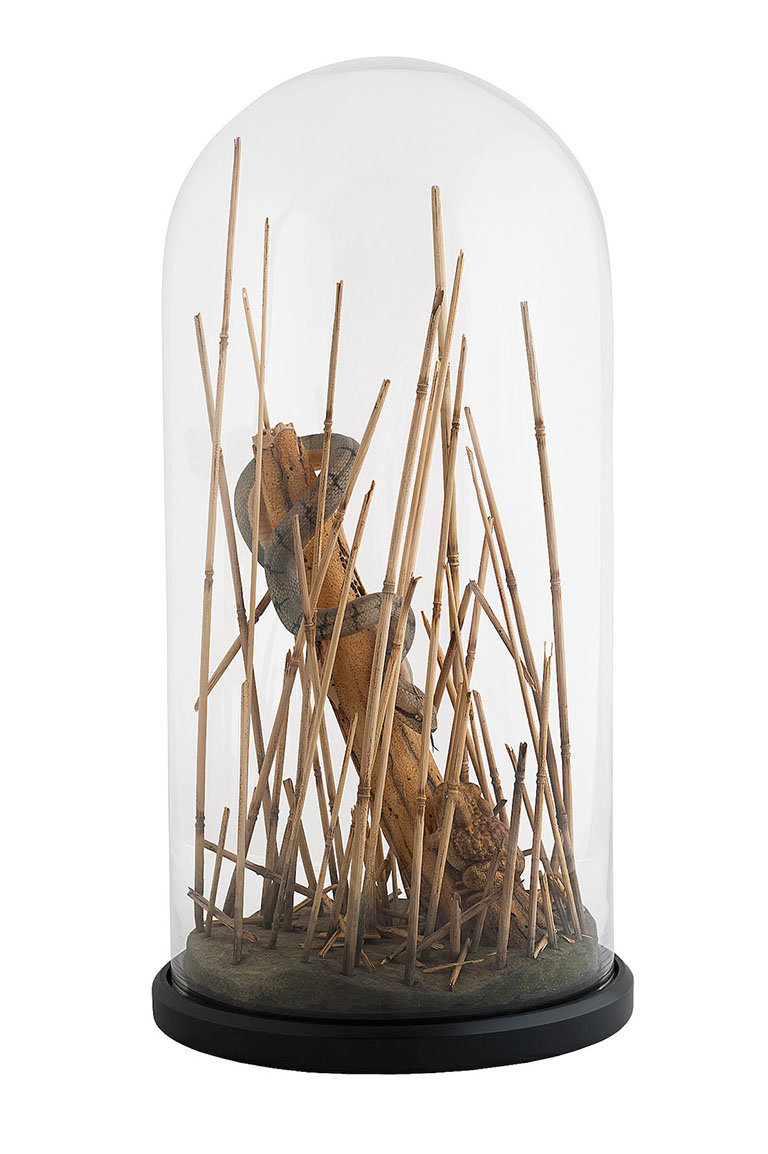 Snake, Schlange, Toad, Kröte, Cornel, Schneider, Boxwood, Buchsbaum, jpeg, jpg, scuplture, Schnitzerei, Carving, okimono