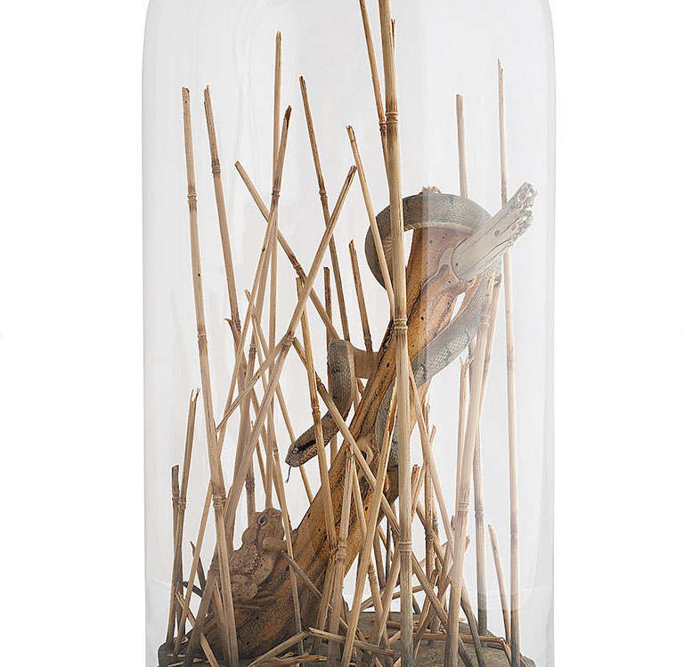 Snake, Schlange, Toad, Kröte, Cornel, Schneider, Boxwood, Buchsbaum, jpeg, jpg, scuplture, Schnitzerei, Carving, okimono