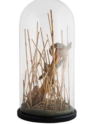 Snake, Schlange, Toad, Kröte, Cornel, Schneider, Boxwood, Buchsbaum, jpeg, jpg, scuplture, Schnitzerei, Carving, okimono