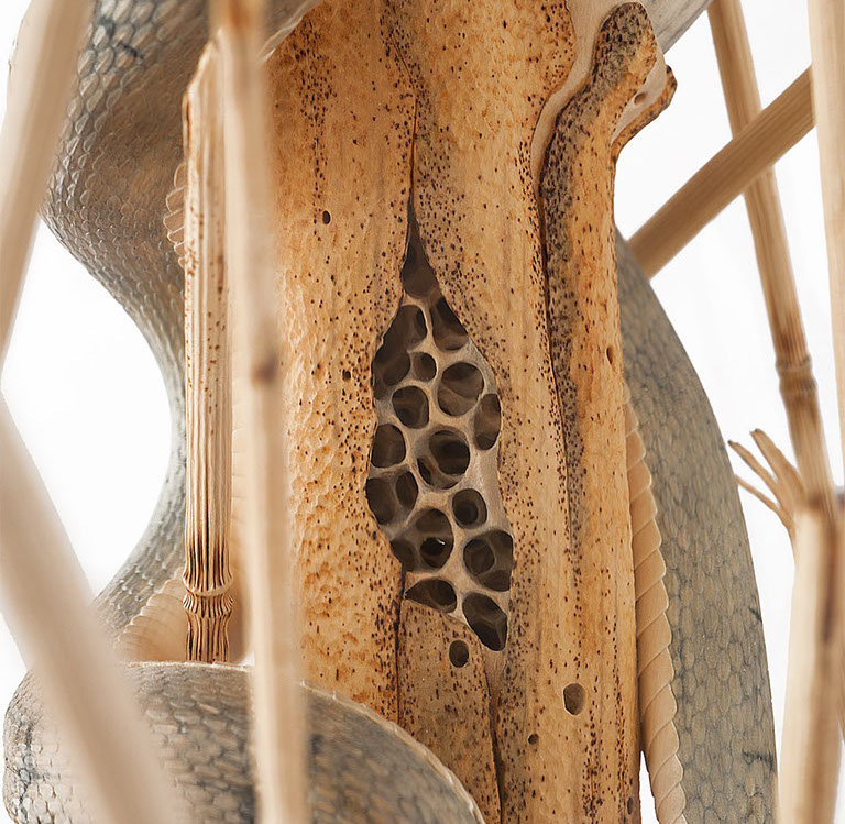 Snake, Schlange, Toad, Kröte, Cornel, Schneider, Boxwood, Buchsbaum, jpeg, jpg, scuplture, Schnitzerei, Carving, okimono