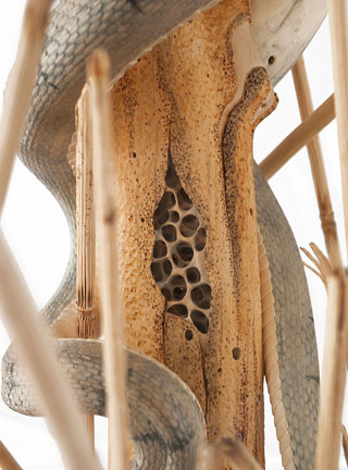 Snake, Schlange, Toad, Kröte, Cornel, Schneider, Boxwood, Buchsbaum, jpeg, jpg, scuplture, Schnitzerei, Carving, okimono