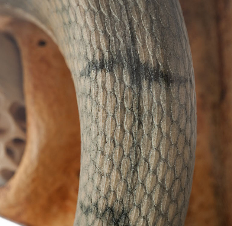 Snake, Schlange, Toad, Kröte, Cornel, Schneider, Boxwood, Buchsbaum, jpeg, jpg, scuplture, Schnitzerei, Carving, okimono