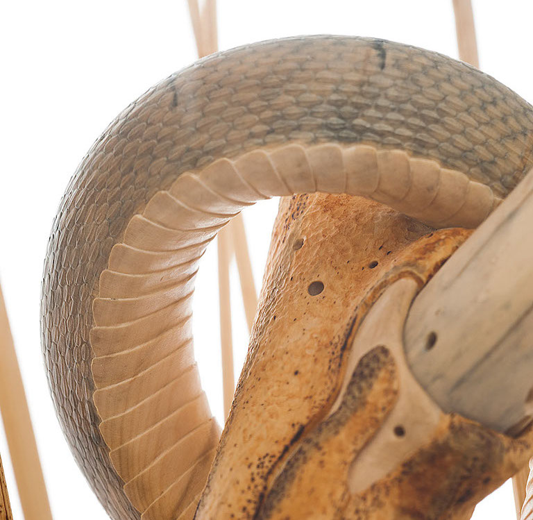 Snake, Schlange, Toad, Kröte, Cornel, Schneider, Boxwood, Buchsbaum, jpeg, jpg, scuplture, Schnitzerei, Carving, okimono