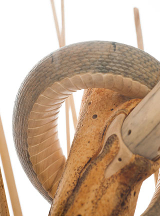 Snake, Schlange, Toad, Kröte, Cornel, Schneider, Boxwood, Buchsbaum, jpeg, jpg, scuplture, Schnitzerei, Carving, okimono