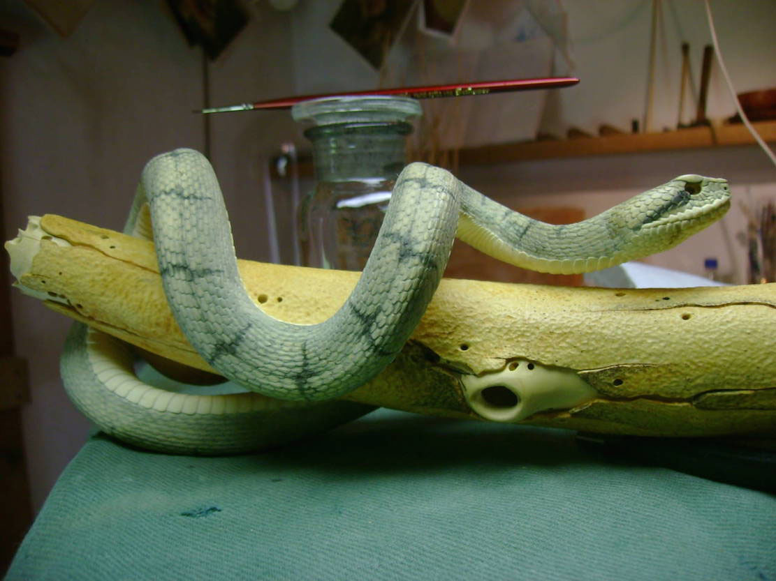 Snake, Schlange, Toad, Kröte, Cornel, Schneider, Boxwood, Buchsbaum, jpeg, jpg, scuplture, Schnitzerei, Carving, okimono