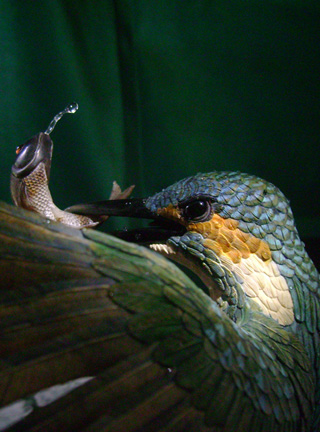 Eisvogel, Kingfisher, Watersplash, Hunting, Fish, Cornel, Schneider, Boxwood, Buchsbaum, jpeg, jpg, scuplture, Schnitzerei, Carving, okimono