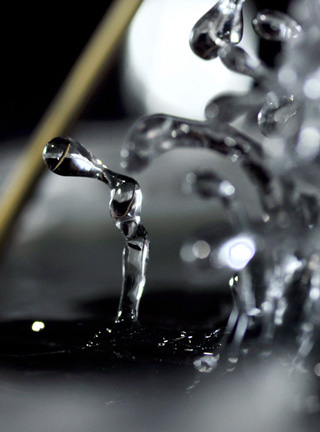 Eisvogel, Kingfisher, Watersplash, Hunting, Fish, Cornel, Schneider, Boxwood, Buchsbaum, jpeg, jpg, scuplture, Schnitzerei, Carving, okimono