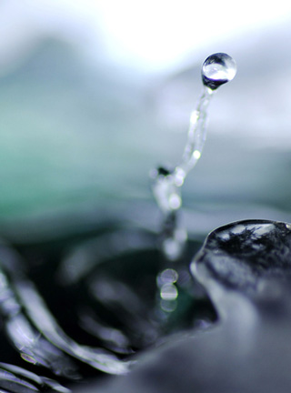 Eisvogel, Kingfisher, Watersplash, Hunting, Fish, Cornel, Schneider, Boxwood, Buchsbaum, jpeg, jpg, scuplture, Schnitzerei, Carving, okimono