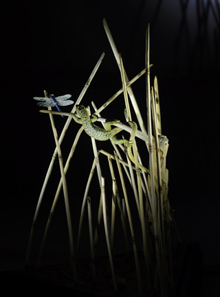 Catch me if you can,Libelle, Dragonfly, Eidechse, Lizard, Boxwood, Buchsbaum,  jpeg, jpg, scuplture, Schnitzerei, Carving, okimono