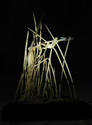 Catch me if you can,Libelle, Dragonfly, Eidechse, Lizard, Boxwood, Buchsbaum,  jpeg, jpg, scuplture, Schnitzerei, Carving, okimono