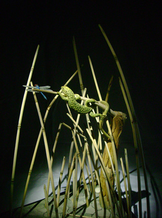 Catch me if you can,Libelle, Dragonfly, Eidechse, Lizard, Boxwood, Buchsbaum,  jpeg, jpg, scuplture, Schnitzerei, Carving, okimono