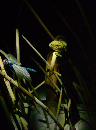 Catch me if you can,Libelle, Dragonfly, Eidechse, Lizard, Boxwood, Buchsbaum,  jpeg, jpg, scuplture, Schnitzerei, Carving, okimono