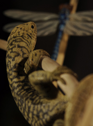 Catch me if you can,Libelle, Dragonfly, Eidechse, Lizard, Boxwood, Buchsbaum,  jpeg, jpg, scuplture, Schnitzerei, Carving, okimono