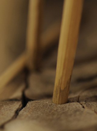 Catch me if you can,Libelle, Dragonfly, Eidechse, Lizard, Boxwood, Buchsbaum,  jpeg, jpg, scuplture, Schnitzerei, Carving, okimono