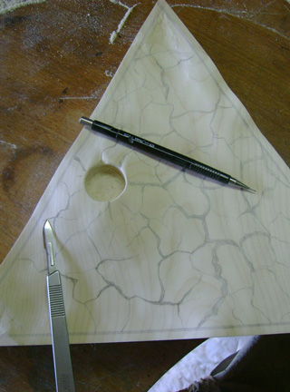 Catch me if you can, Eidechse, Lizard, Boxwood, Buchsbaum, tools, work in process,  jpeg, jpg, scuplture, Schnitzerei, Carving, okimono