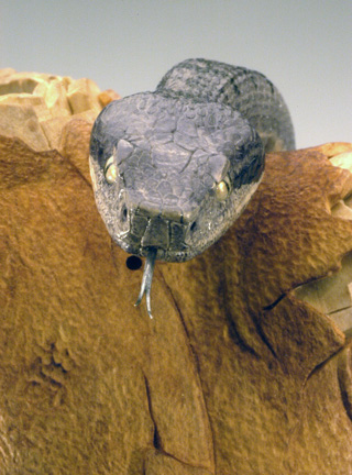 viper around branch, Cornel, Schneider, Boxwood, Buchsbaum,  jpeg, jpg, scuplture, Schnitzerei, Carving, okimono