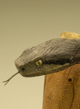 viper around branch, Cornel, Schneider, Boxwood, Buchsbaum,  jpeg, jpg, scuplture, Schnitzerei, Carving, okimono