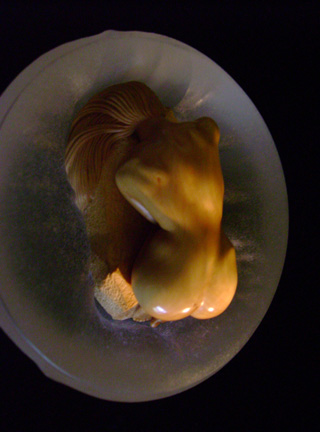 The nude, Akt, Cornel, Schneider, Boxwood, Buchsbaum,  acrylglass, ivory jpeg, jpg, scuplture, Schnitzerei, Carving, okimono