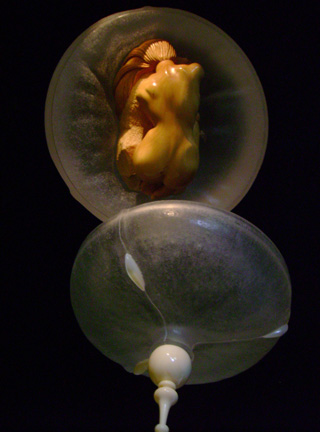 The nude, Akt, Cornel, Schneider, Boxwood, Buchsbaum,  acrylglass, ivory jpeg, jpg, scuplture, Schnitzerei, Carving, okimono