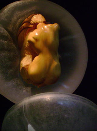 The nude, Akt, Cornel, Schneider, Boxwood, Buchsbaum,  acrylglass, ivory jpeg, jpg, scuplture, Schnitzerei, Carving, okimono