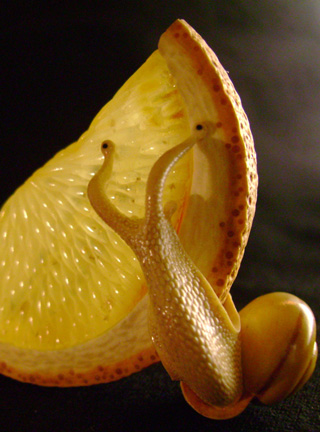 orangesnail, Cornel, Schneider, Boxwood, Buchsbaum,  amber, bernstein, ebony, jpeg, jpg, scuplture, Schnitzerei, Carving, netsuke