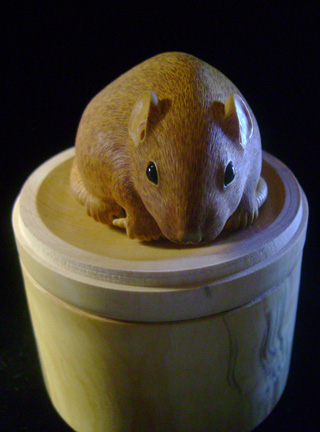 HOMMAGE À TOMOKAZU, rat, ratte, box, Cornel, Schneider, Boxwood, Buchsbaum,  jpeg, jpg, scuplture, Schnitzerei, Carving, netsuke