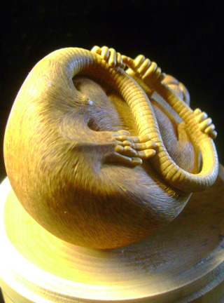 HOMMAGE À TOMOKAZU, rat, ratte, box, Cornel, Schneider, Boxwood, Buchsbaum,  jpeg, jpg, scuplture, Schnitzerei, Carving, netsuke