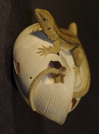 LIZARD ON SNAILHOUSE, Eidechse, Schneckenhaus, Cornel, Schneider, Boxwood, Buchsbaum,  jpeg, jpg, scuplture, Schnitzerei, Carving, okimono