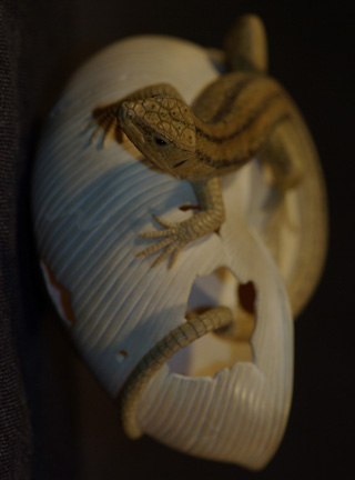 LIZARD ON SNAILHOUSE, Eidechse, Schneckenhaus, Cornel, Schneider, Boxwood, Buchsbaum,  jpeg, jpg, scuplture, Schnitzerei, Carving, okimono