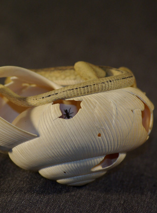 LIZARD ON SNAILHOUSE, Eidechse, Schneckenhaus, Cornel, Schneider, Boxwood, Buchsbaum,  jpeg, jpg, scuplture, Schnitzerei, Carving, okimono