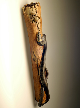 Natrix-Natrix, Ringelnatter, Grass snake, rindged, Cornel, Schneider, Boxwood, Buchsbaum,  jpeg, jpg, scuplture, Schnitzerei, Carving, okimono