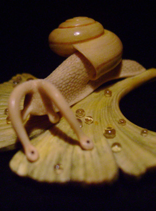 Snail on Gingkoleaf, schnecke, Ginkoblatt, Dewdrop, Cornel, Schneider, Boxwood, Buchsbaum,  jpeg, jpg, scuplture, Schnitzerei, Carving, netsuke 