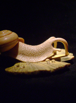 Snail on Gingkoleaf, schnecke, Ginkoblatt, Dewdrop, Cornel, Schneider, Boxwood, Buchsbaum,  jpeg, jpg, scuplture, Schnitzerei, Carving, netsuke 