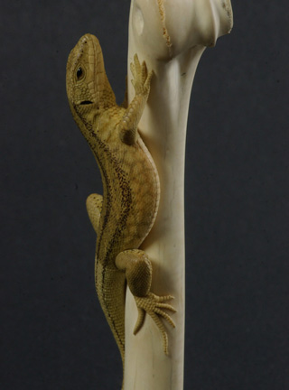 LIZARD ON BONE, Eidechse, Knochen, Cornel, Schneider, Boxwood, Buchsbaum,  jpeg, jpg, scuplture, Schnitzerei, Carving, sashi, netsuke, 