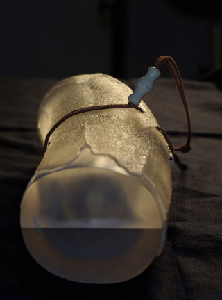 MEETING, Toad, Aspisviper, Kröte, Cornel, Schneider, Boxwood, Buchsbaum, Acrylglass, jpeg, jpg, scuplture, Schnitzerei, Carving,okimono