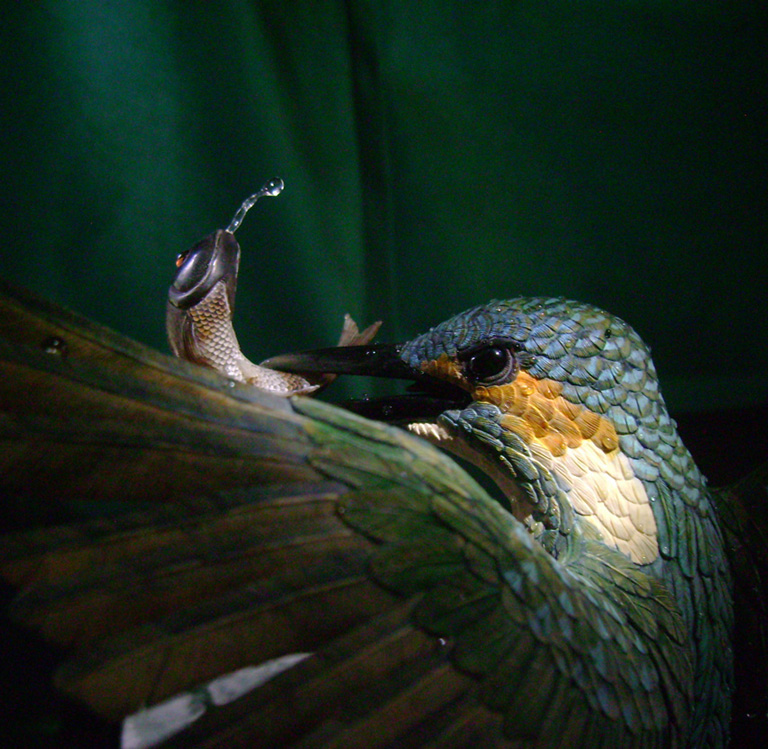 Eisvogel, Kingfisher, Watersplash, Hunting, Fish, Cornel, Schneider, Boxwood, Buchsbaum, jpeg, jpg, scuplture, Schnitzerei, Carving, okimono