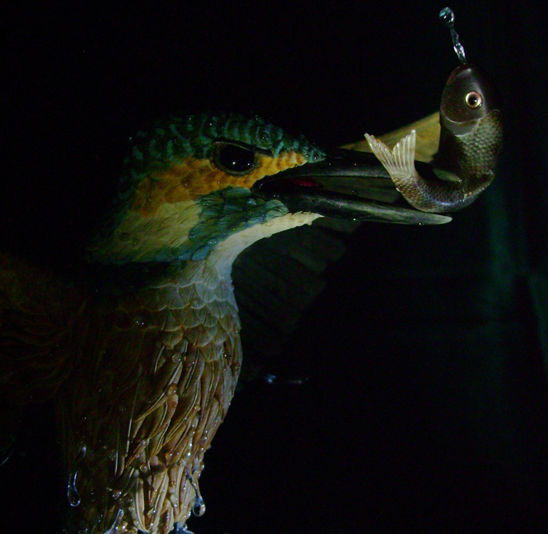 Eisvogel, Kingfisher, Watersplash, Hunting, Fish, Cornel, Schneider, Boxwood, Buchsbaum, jpeg, jpg, scuplture, Schnitzerei, Carving, okimono