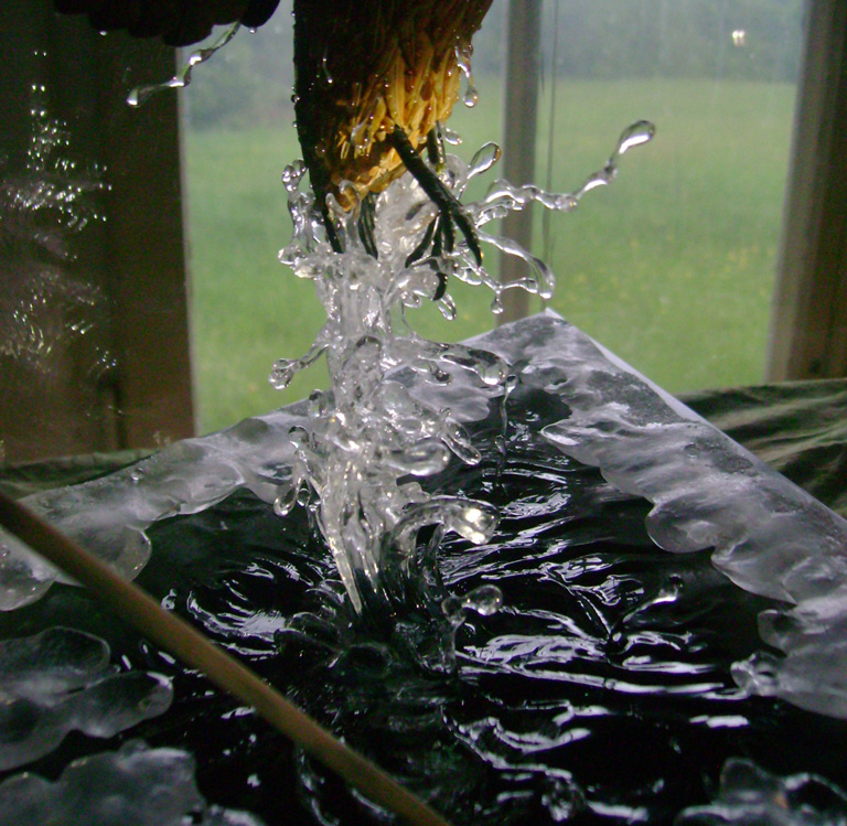 Eisvogel, Kingfisher, Watersplash, Hunting, Fish, Cornel, Schneider, Boxwood, Buchsbaum, jpeg, jpg, scuplture, Schnitzerei, Carving, okimono