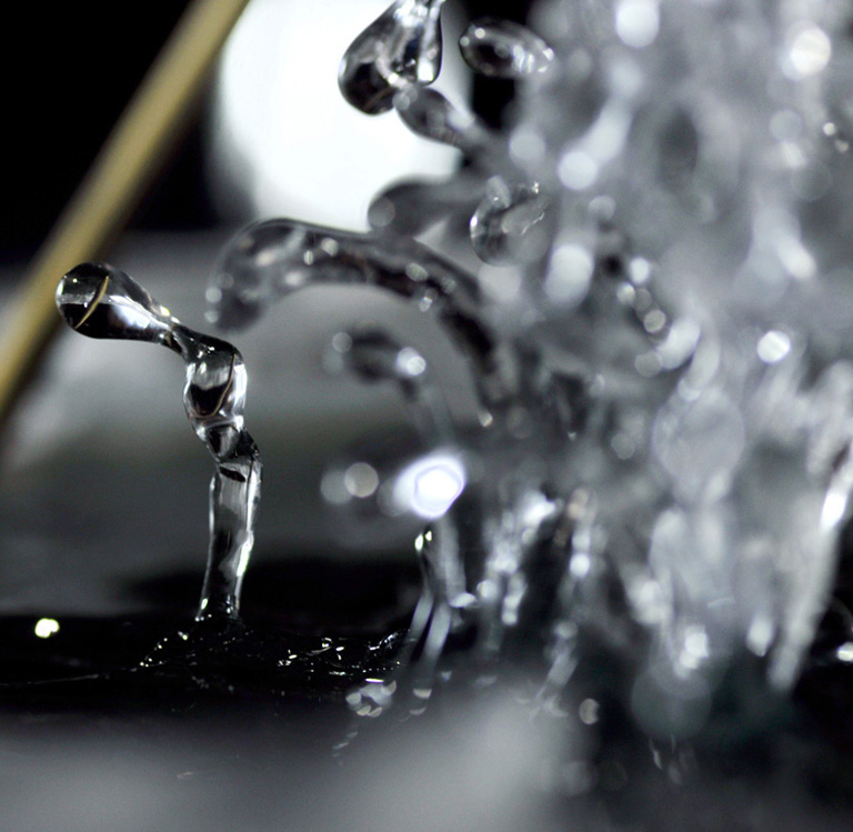 Eisvogel, Kingfisher, Watersplash, Hunting, Fish, Cornel, Schneider, Boxwood, Buchsbaum, jpeg, jpg, scuplture, Schnitzerei, Carving, okimono