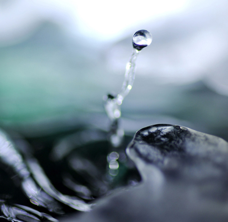 Eisvogel, Kingfisher, Watersplash, Hunting, Fish, Cornel, Schneider, Boxwood, Buchsbaum, jpeg, jpg, scuplture, Schnitzerei, Carving, okimono