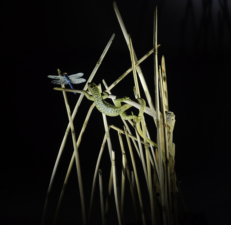 Catch me if you can,Libelle, Dragonfly, Eidechse, Lizard, Boxwood, Buchsbaum,  jpeg, jpg, scuplture, Schnitzerei, Carving, okimono