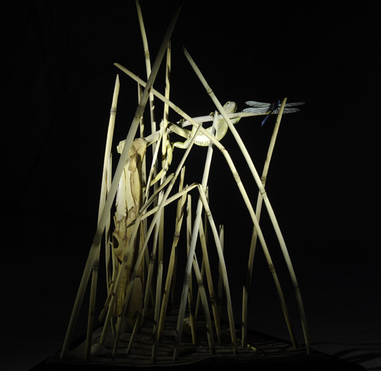 Catch me if you can,Libelle, Dragonfly, Eidechse, Lizard, Boxwood, Buchsbaum,  jpeg, jpg, scuplture, Schnitzerei, Carving, okimono