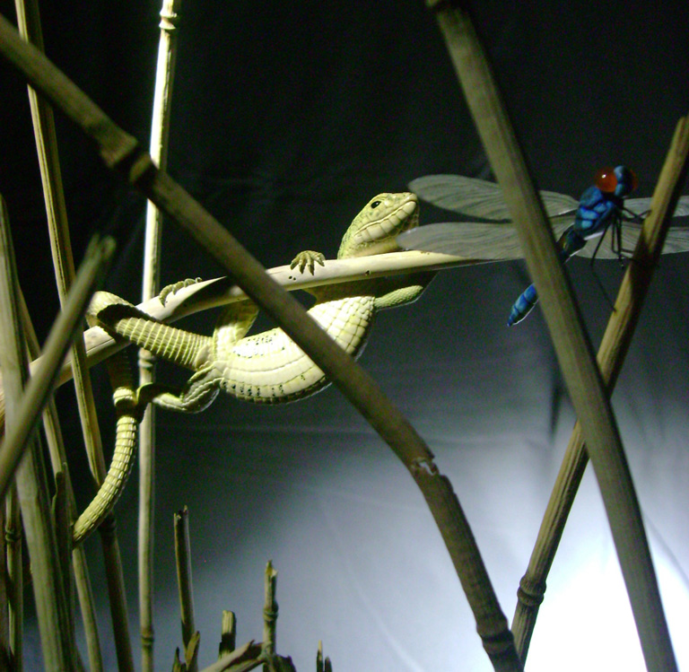 Catch me if you can,Libelle, Dragonfly, Eidechse, Lizard, Boxwood, Buchsbaum,  jpeg, jpg, scuplture, Schnitzerei, Carving, okimono