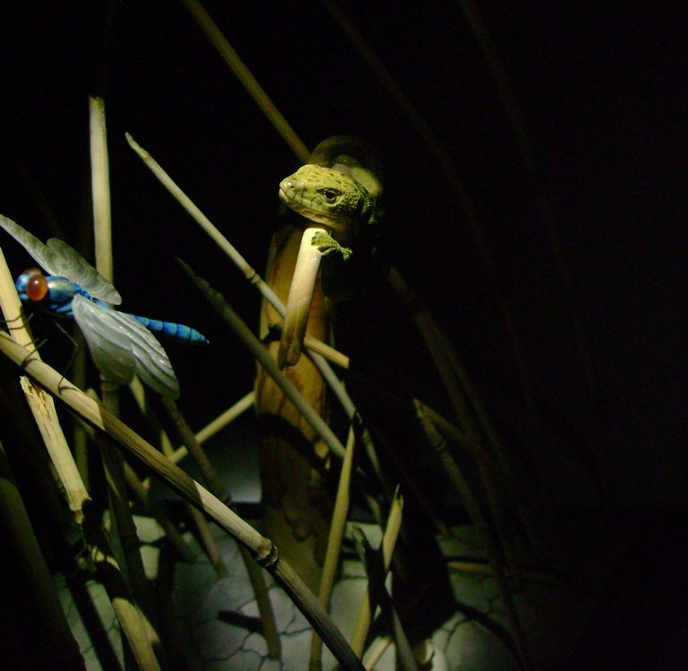 Catch me if you can,Libelle, Dragonfly, Eidechse, Lizard, Boxwood, Buchsbaum,  jpeg, jpg, scuplture, Schnitzerei, Carving, okimono