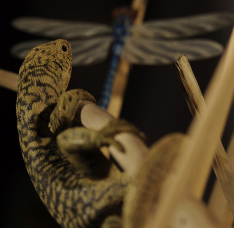 Catch me if you can,Libelle, Dragonfly, Eidechse, Lizard, Boxwood, Buchsbaum,  jpeg, jpg, scuplture, Schnitzerei, Carving, okimono