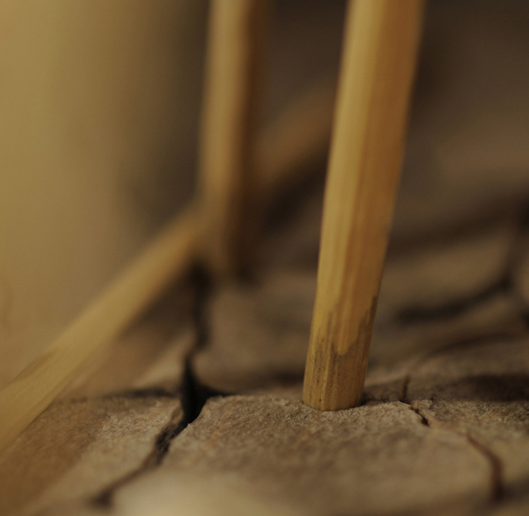 Catch me if you can,Libelle, Dragonfly, Eidechse, Lizard, Boxwood, Buchsbaum,  jpeg, jpg, scuplture, Schnitzerei, Carving, okimono