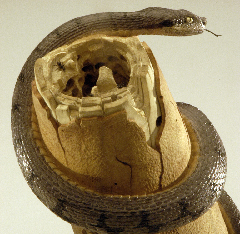 viper around branch, Cornel, Schneider, Boxwood, Buchsbaum,  jpeg, jpg, scuplture, Schnitzerei, Carving, okimono